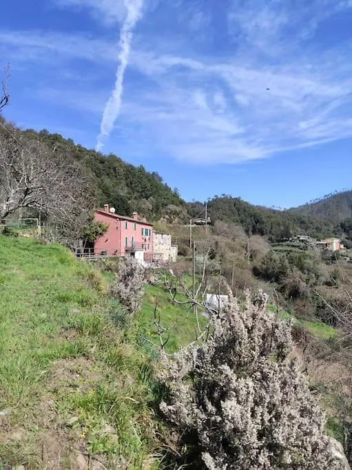 Quiet And Cozy Home With Wi-Fi Casa Prearino Vernazza 0*,  Italy
